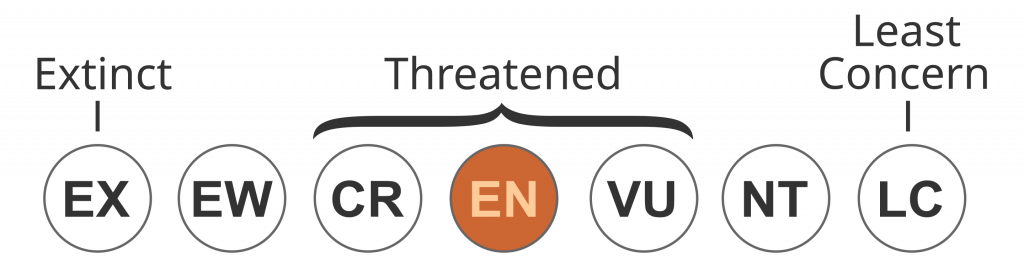 IUCN Status ENDANGERED