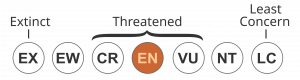 IUCN Status ENDANGERED