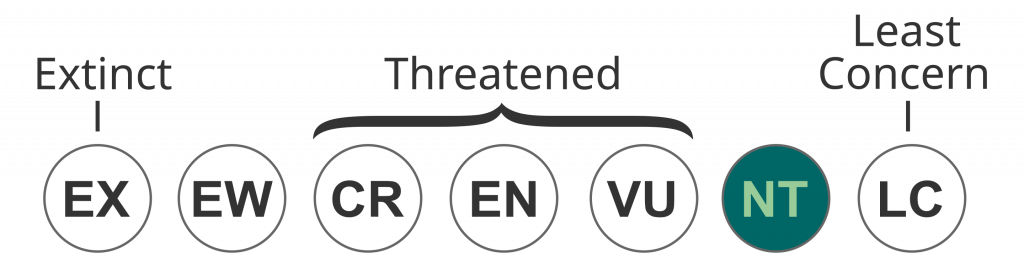 IUCN Status NEAR THREATENED