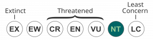 IUCN Status NEAR THREATENED