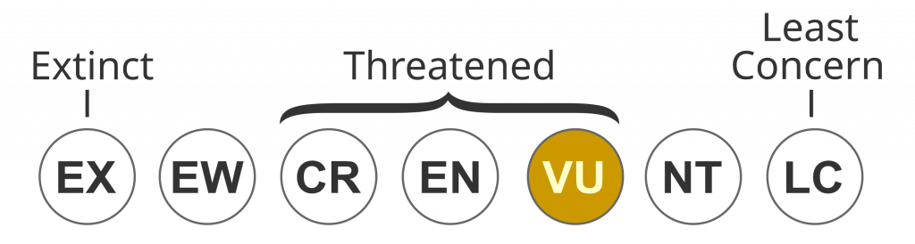 IUCN Status VULNERABLE