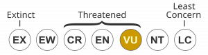 IUCN Status VULNERABLE