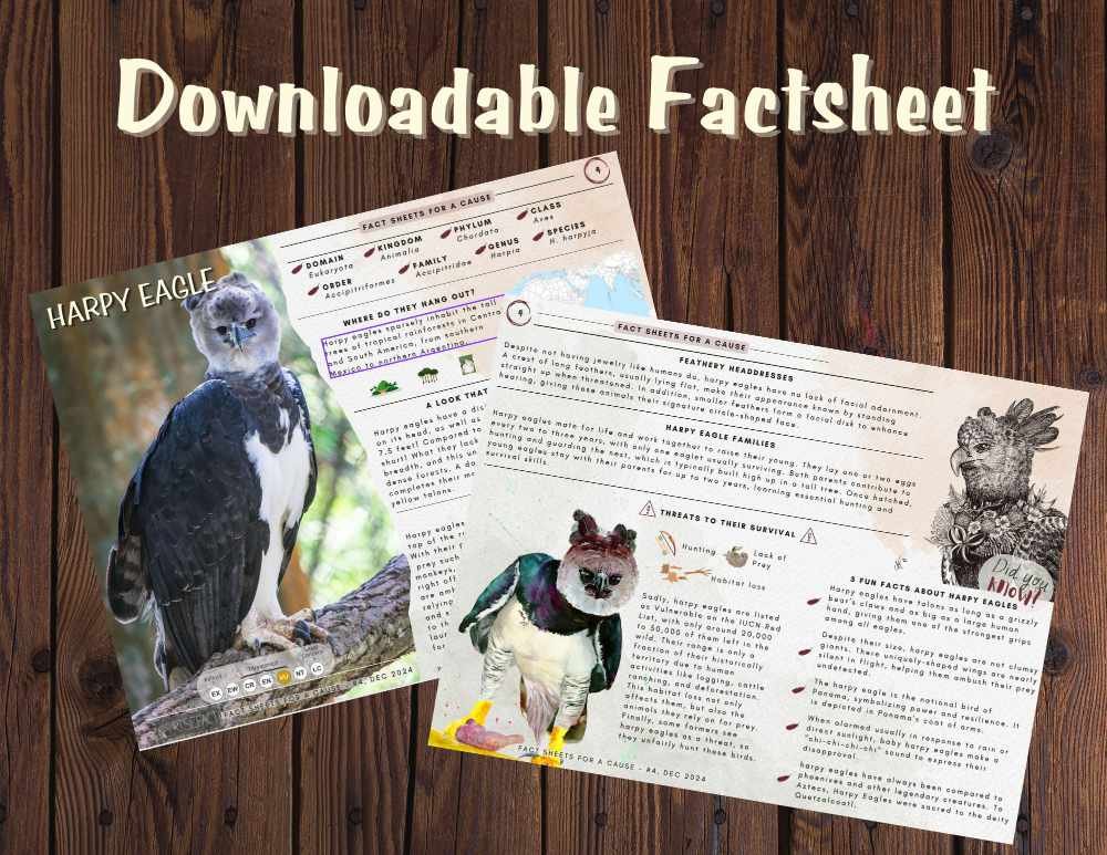 Factsheet promo