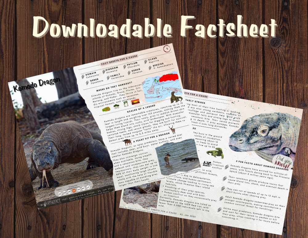 Downloadable Factsheet