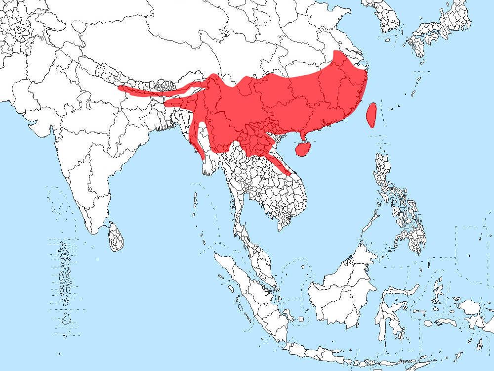 Chinese Pangolin range