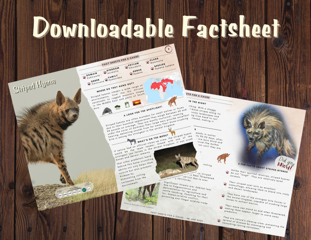 Striped Hyena Factsheet Striped Hyena Factsheet promo