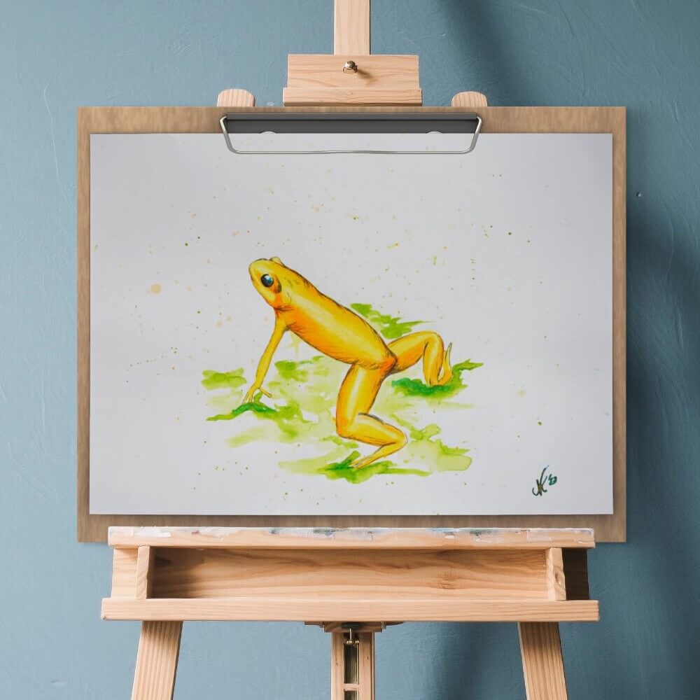 Golden Mantella - Golden Boy