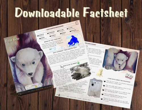 Polar Bear Factsheet