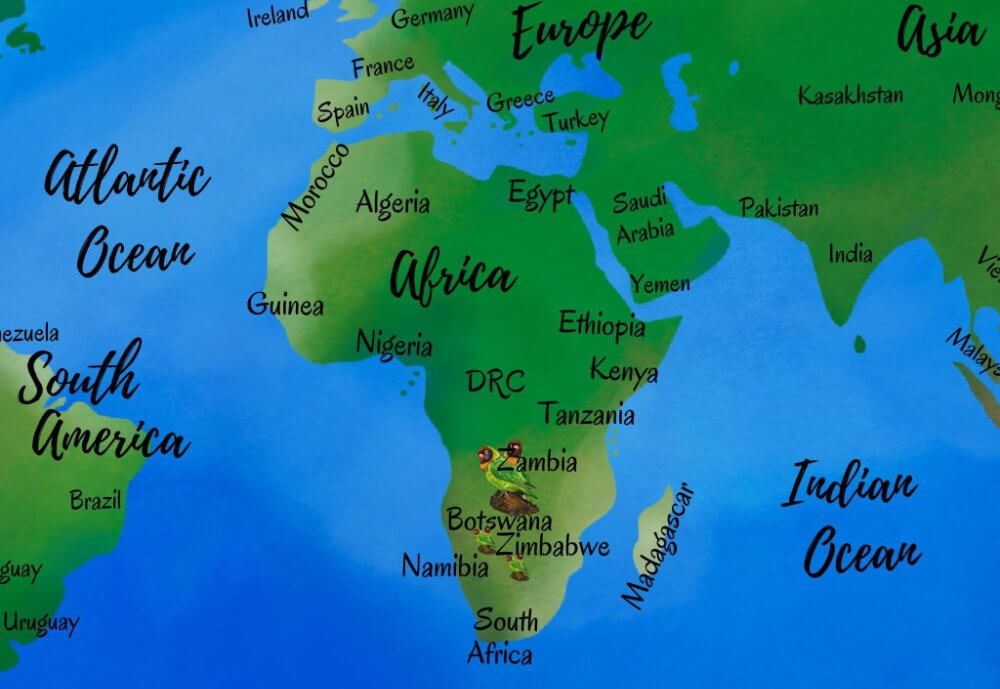 World Map Black-cheeked Lovebirds