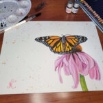 Monarch Butterfly