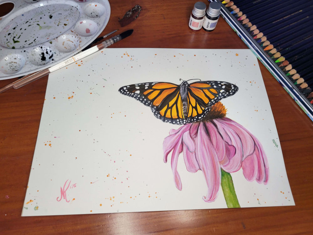 Monarch Butterfly