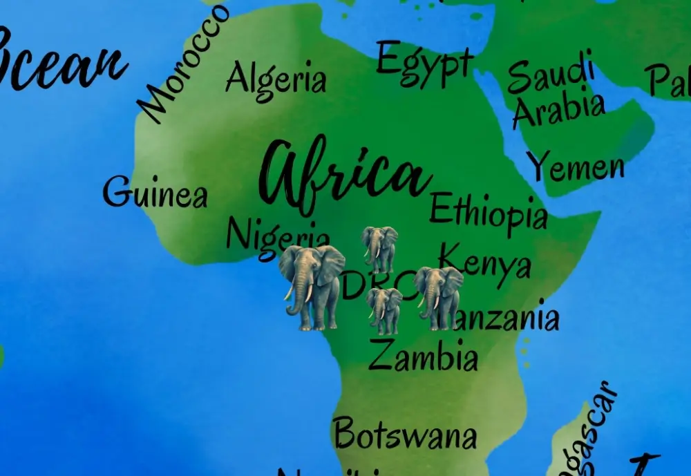 Map of the African Forest Elephant's Range